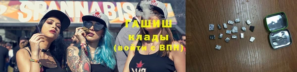 прущий лед Алзамай