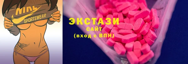 СК Алексин