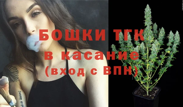 СК Алексин