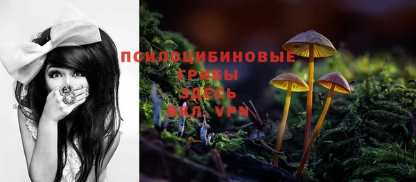 гашик Абинск
